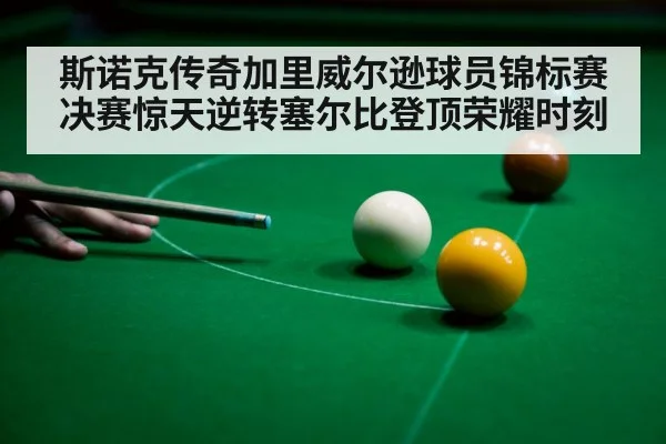 斯诺克传奇加里威尔逊球员锦标赛决赛惊天逆转塞尔比登顶荣耀时刻