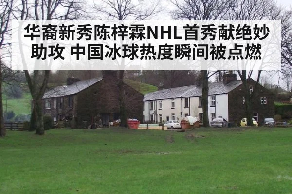 华裔新秀陈梓霖NHL首秀献绝妙助攻 中国冰球热度瞬间被点燃